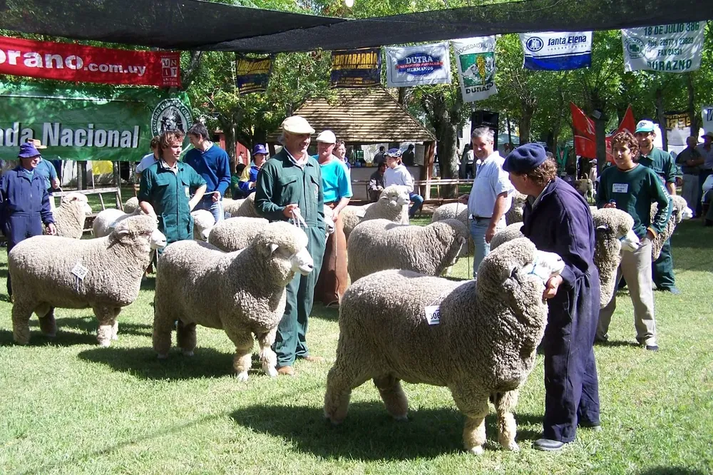 Expectativa por apreciar la habitual calidad de la muestra de la Sociedad Rural de Durazno.