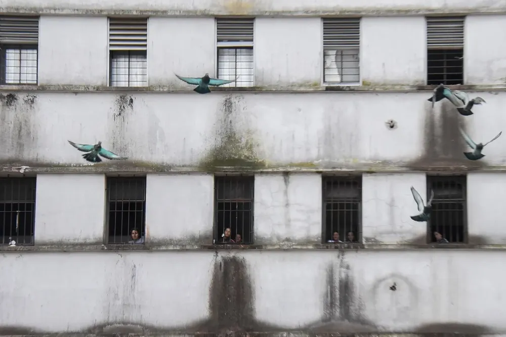 Conclusiones del Comité contra la Tortura