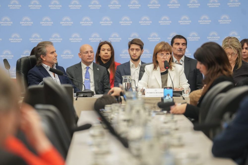 Patricia Bullrich y Bertie Benegas Lynch en Diputados.