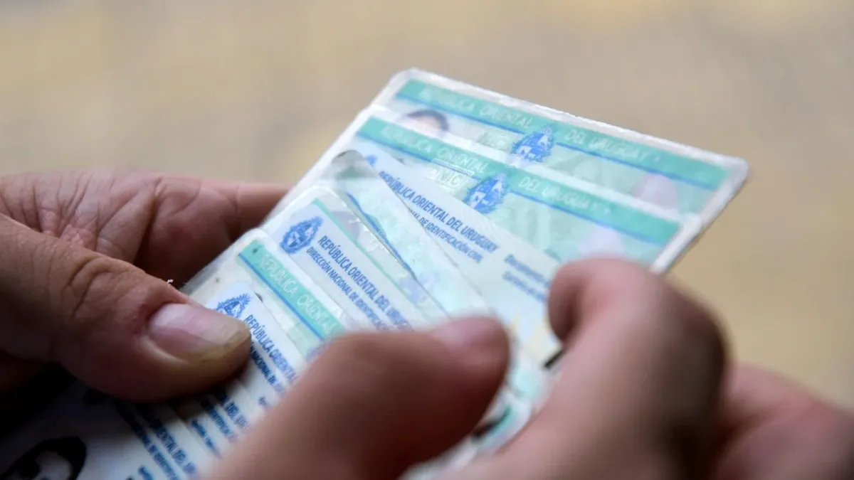 Proponen una app para llevar la cédula, la licencia y el carné de vacunas en el celular