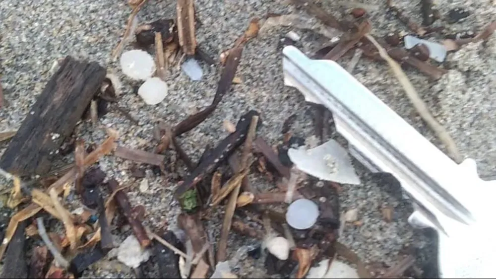 Asturias activa el Plan por Contaminación tras la llegada de microplásticos.