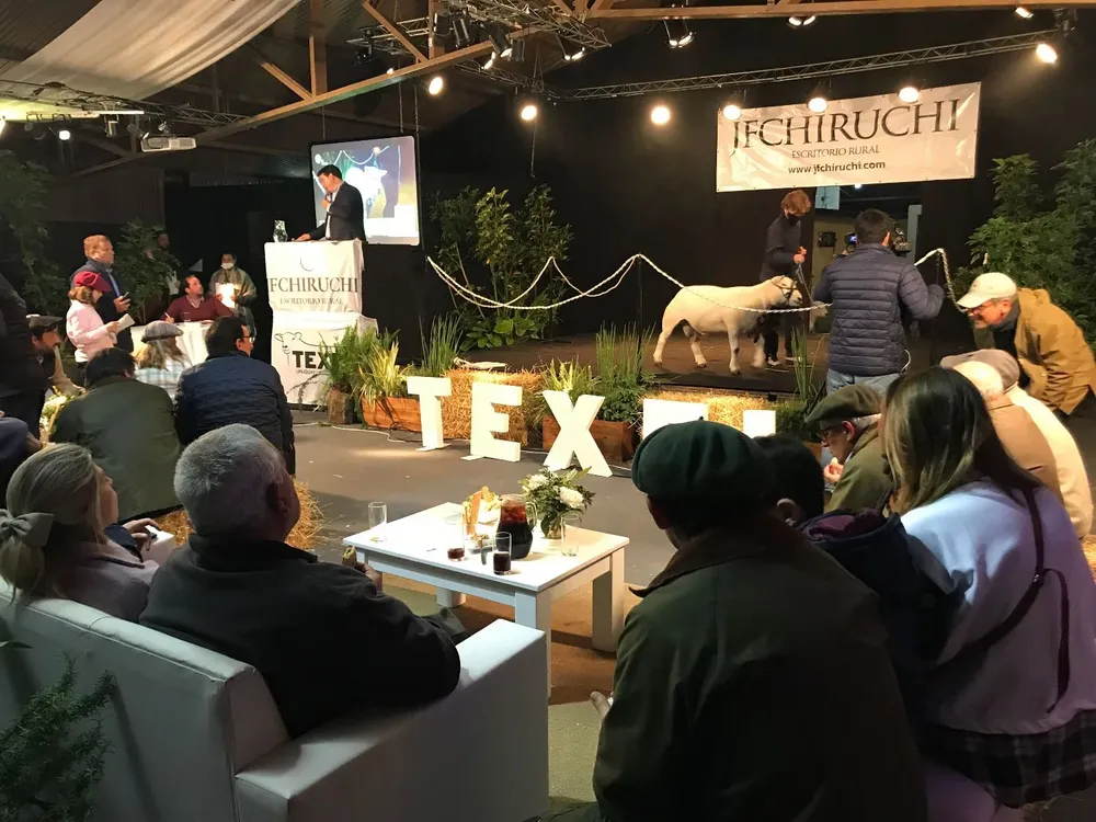 El remate se realizó en el Salón Multiespacio.