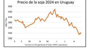 Trigo, cebada, soja... los agricultores atentos al mercado de granos.