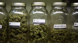 Industria de marihuana facturó US$ 5.700 millones en EEUU