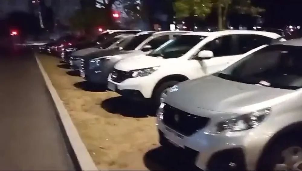 Captura de pantalla del video que superó las 300 mil vistas en X