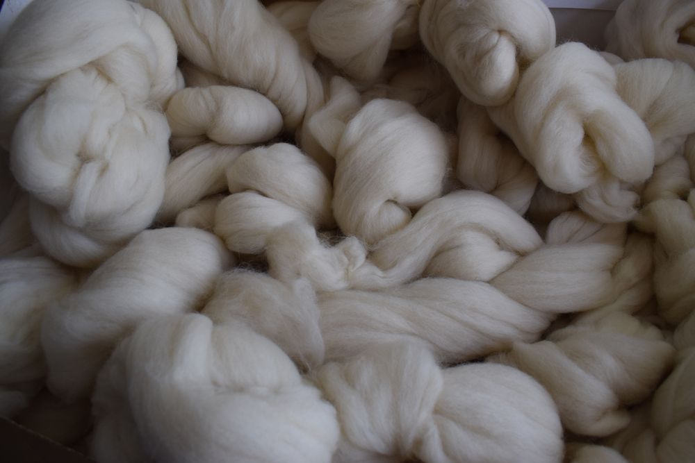 Rubro ovino: más ingresos por colocaciones externas de lanas.