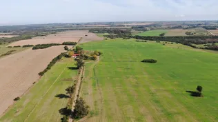 Da Silva Agroinmuebles ofrece un campo de 280 hectáreas ubicado en San José.