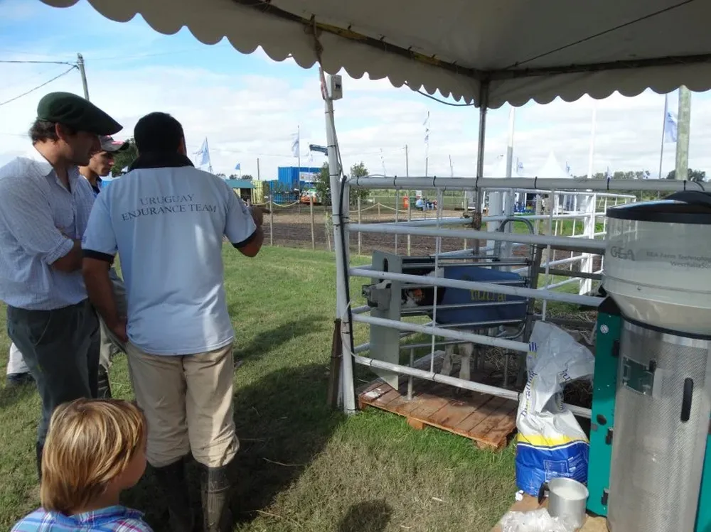 Sistema de autoamamantamiento de terneros presentado en Melilla por GEA FARM.