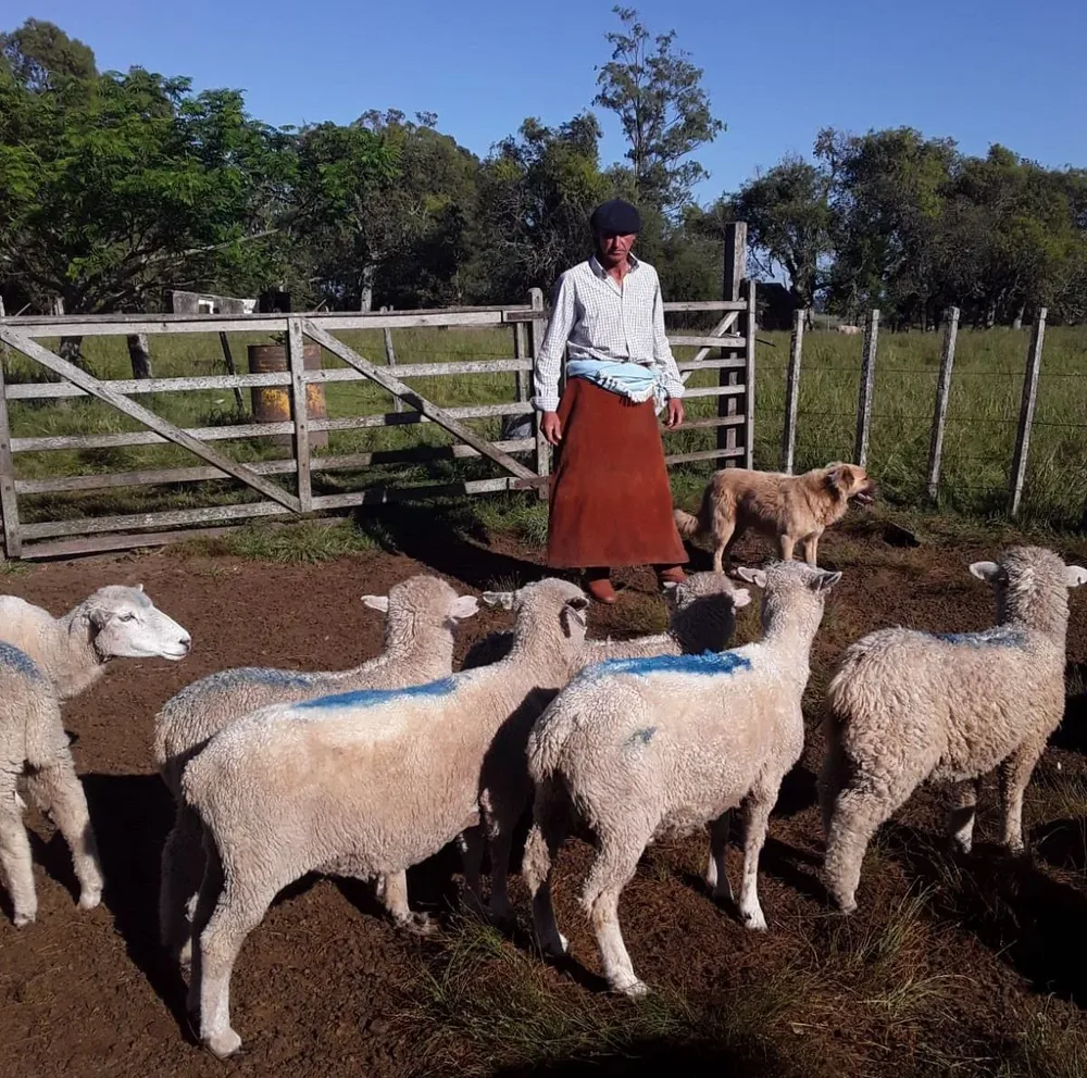 El establecimiento está muy cerca de la ruta 8.