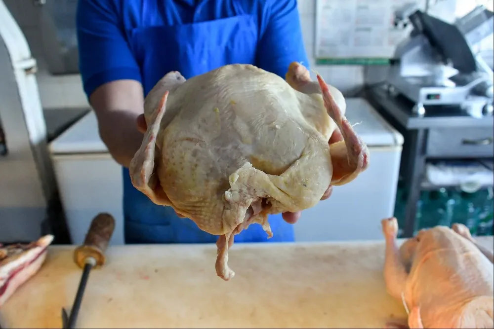 Actualmente el consumo per cápita de pollo es de 20,8 kilos.