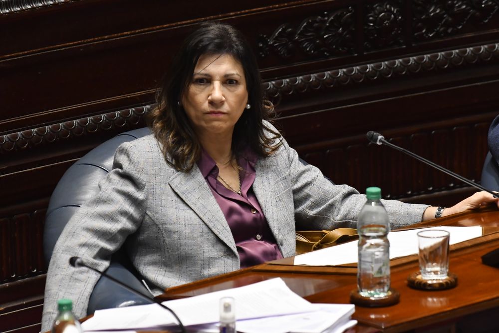 La senadora del FA,&nbsp;Blanca Rodríguez﻿