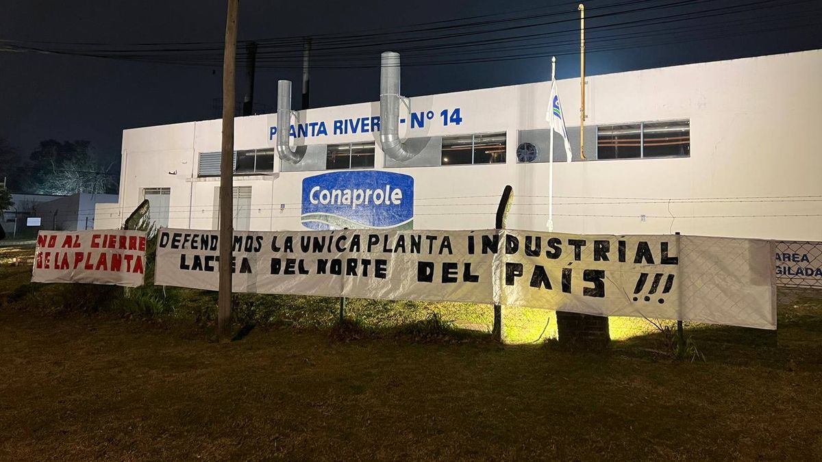 Paro de 24 horas en Conaprole por cierre de planta en Rivera y qué pasará con la recepción y reparto de leche