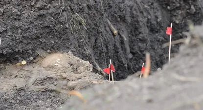 El cráneo del cuerpo encontrado semi enterrado en el batallón N° 13