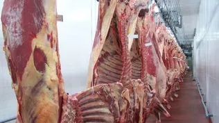 Exportaciones crecieron en setiembre por ventas de carne y soja