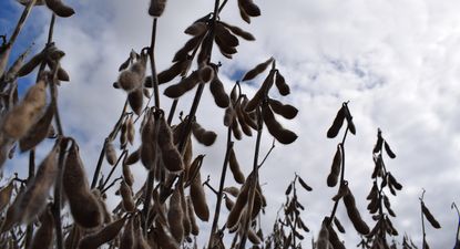 El Observador | DSC_0036