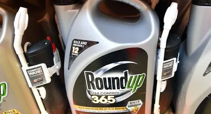 Bayer fue condenado a pagar US$ 81 millones a jardinero con cáncer por herbicida con glifosato