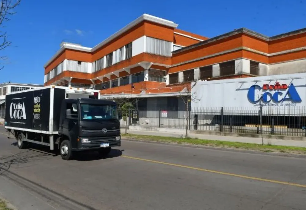 Planta de Doña Coca