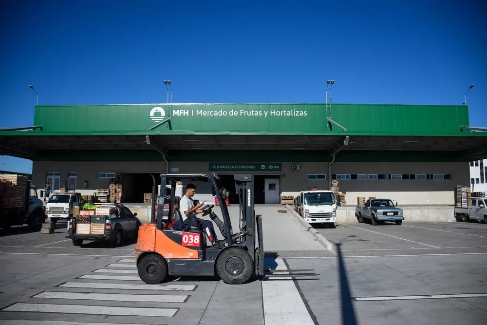Archivo. Mercado de frutas y hortalizas en la UAM