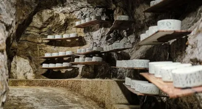 El Observador | 1706287386513.webp