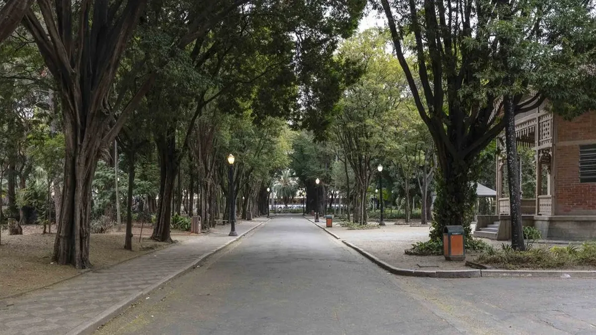 La vida secreta de las veteranas prostitutas que trabajan en un histórico  parque de Sao Paulo