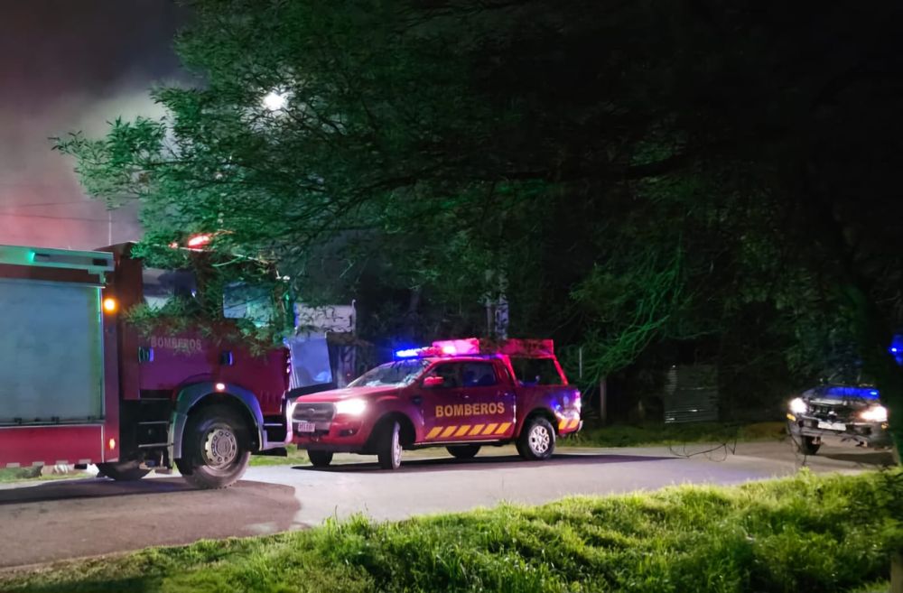 WhatsApp Image 2024-08-23 at 08.48.44.jpeg