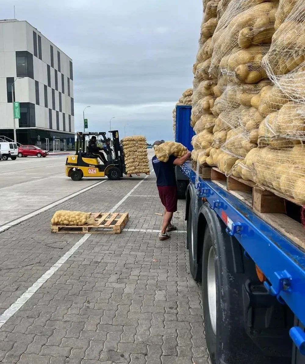 Descarga de papa importada en la UAM.