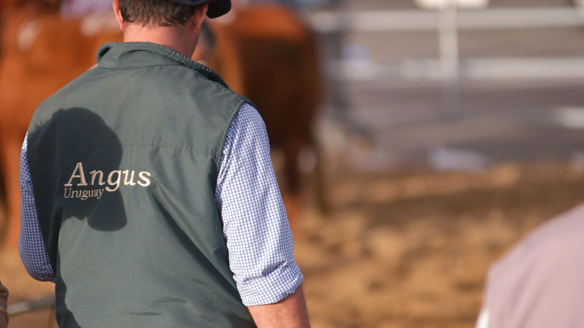 Día del Trabajador Rural en Uruguay: el mensaje de Fratti y los saludos de la institucionalidad del Agro