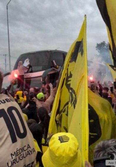Ploteo de gallinas del ómnibus de Peñarol para provocar a Nacional&nbsp;