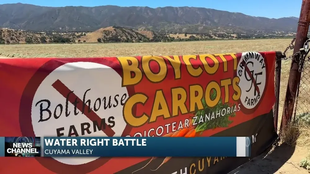 Las compañías Grimmway Farms y Bolthouse Farms son las dos más grandes productoras de zanahorias de Estados Unidos.