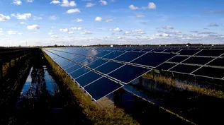 Granjas solares