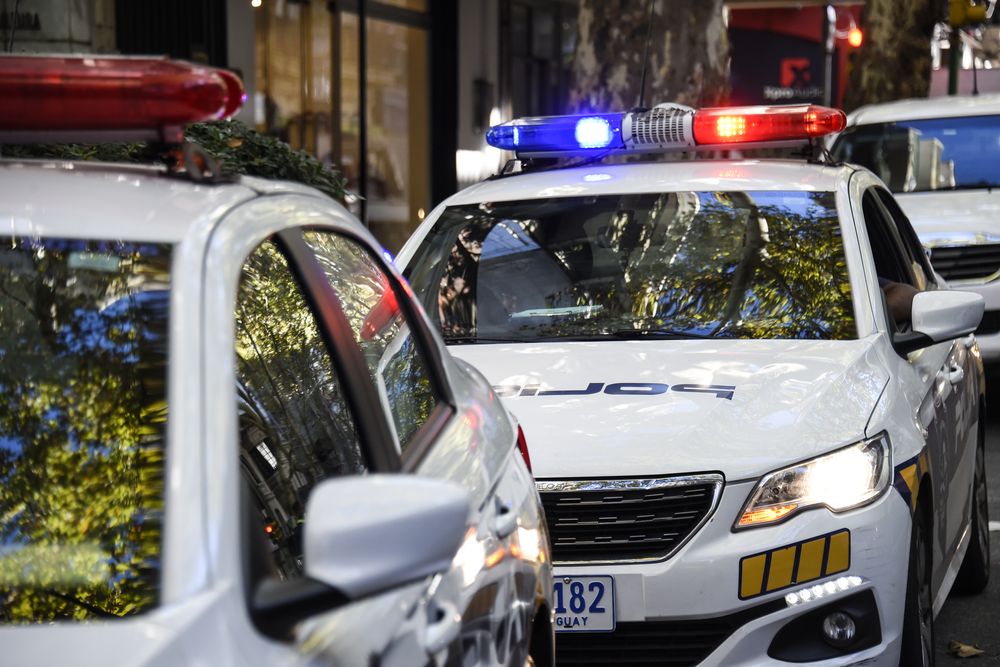 La Policía detuvo a una joven de 18 años