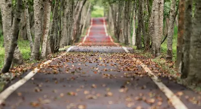 El propósito es el sentido