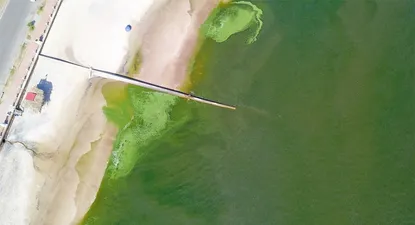 El Observador | DJI_0162.webp