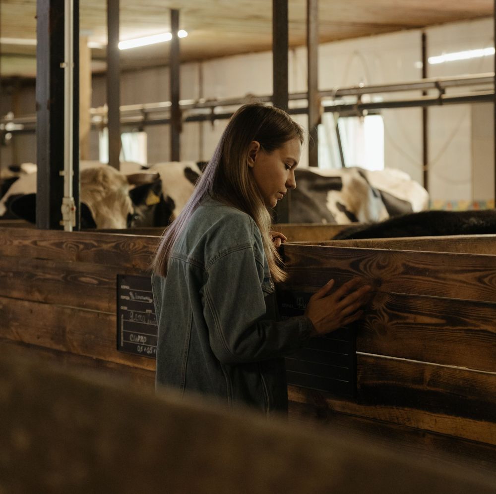 Mujeres: los proyectos apoyados consideran varios rubros de actividades productivas.