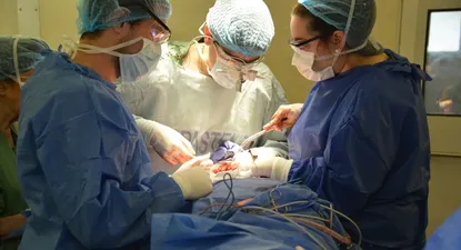 la estufa a lena incide en la prevalencia de enfermedades cardiovasculares