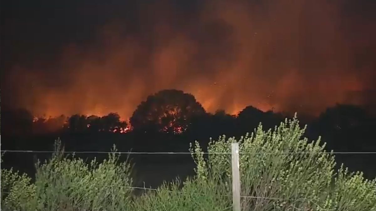 Firefighters fight a 15-hectare fire in Neptunia Norte: they had to cut off traffic on Route 34