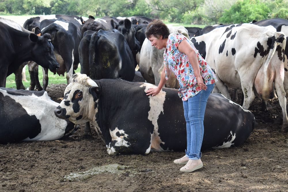 Mujeres rurales: pilar en los sistemas productivos en Uruguay.