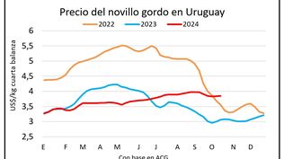 Mercado ganadero, Blasina y Asociados.