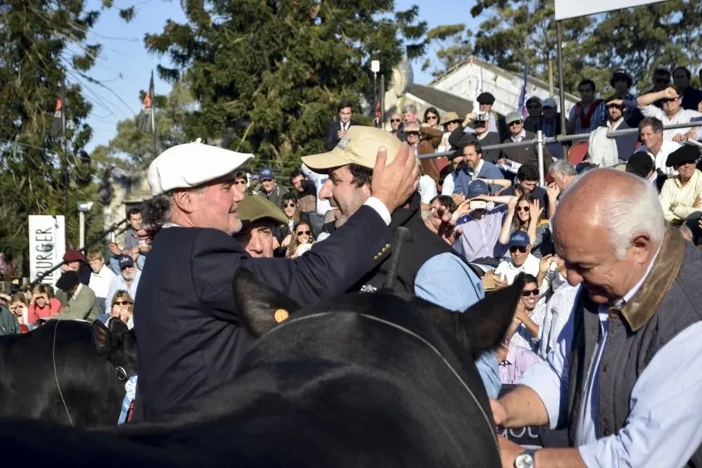 La Cabaña El Yunque se llevó la cocarda al Gran Campeón Angus en la Expo Prado 2017.