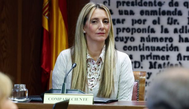 Claudia Montes declara antes la comisión Koldo del Senado.&nbsp;