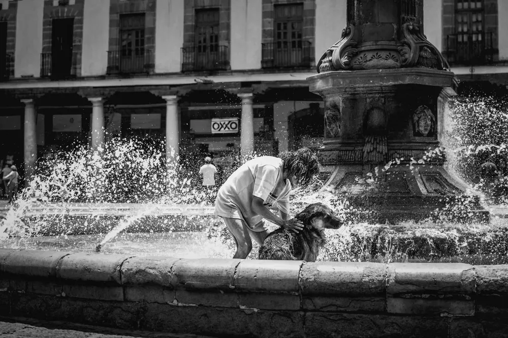 Existen técnicas efectivas para mantener a tu perro limpio sin necesidad de un baño completo.