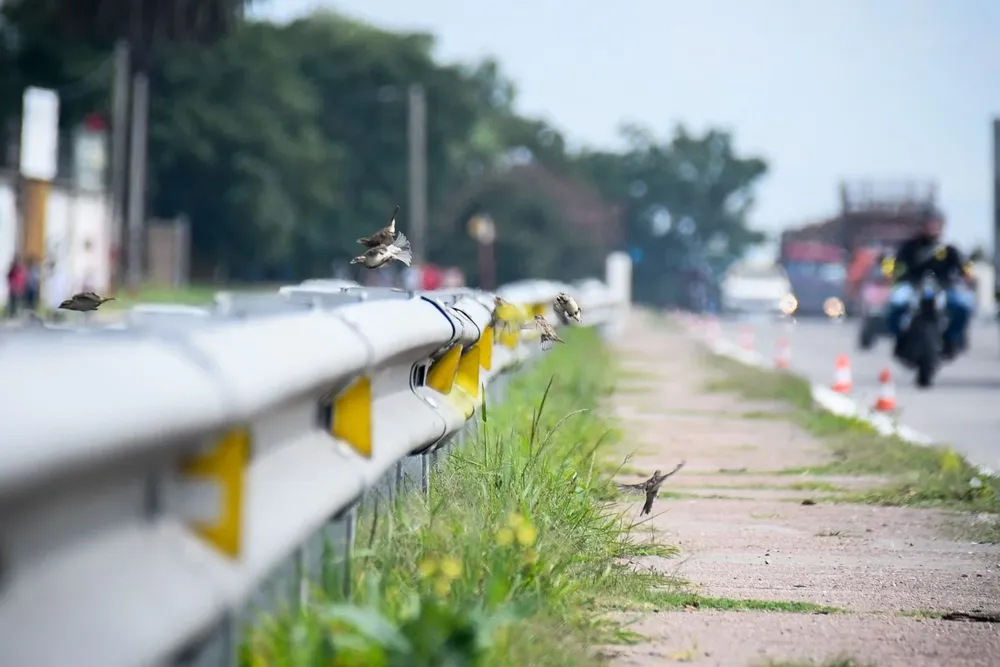 Un hombre murió atropellado en la ruta 5