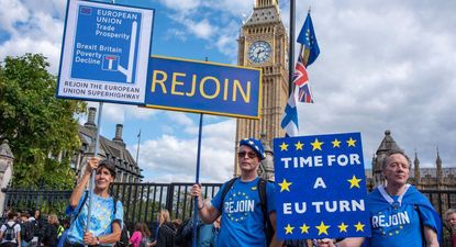 El movimiento para volver a entrar en la Unión Europea ha ganado fuerza en los últimos años y ahora más de la mitad de los británicos dice que apoyaría anular el resultado del referéndum de 2016, que provocó el divorcio.
