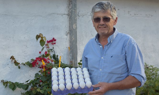 Huevos blancos: para algunos, como Danilo, también para los reposteros, es mejor.