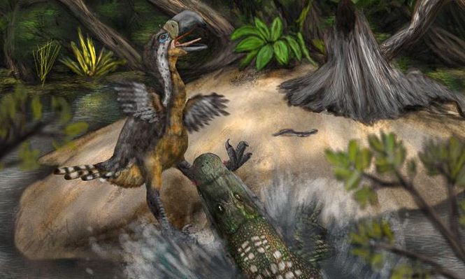 Los investigadores señalan que el ave del terror no sobrevivió el ataque de otro depredador.