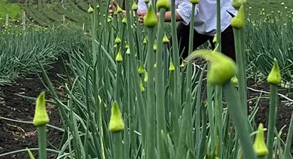 El Observador | 1689948759637.webp