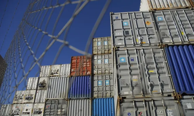 Celulosa, carne, lácteos y soja impulsaron exportaciones de octubre