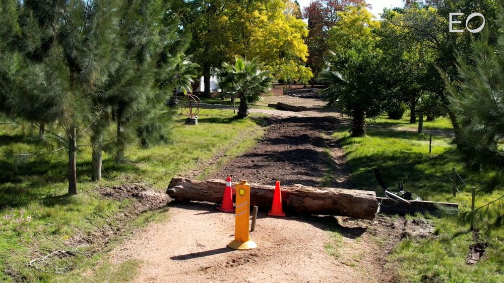 WhatsApp Image 2024-11-14 at 13.58.24.jpeg