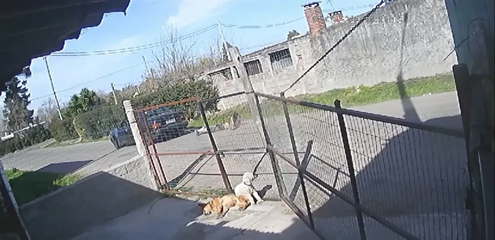 El hecho quedó registrado por cámaras de seguridad de la zona