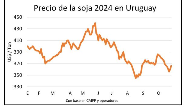 Cultivos con mejor panorama en las chacras y novedades en los mercados.